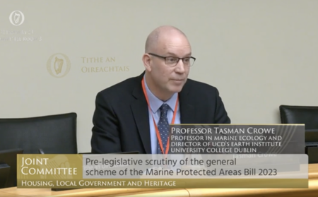 Stakeholders are key to ensuring the future of Irish waters\' biodiversity, Oireachtas committee hear